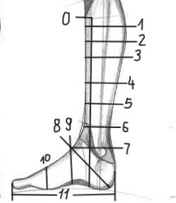 Balance height measurement diagram